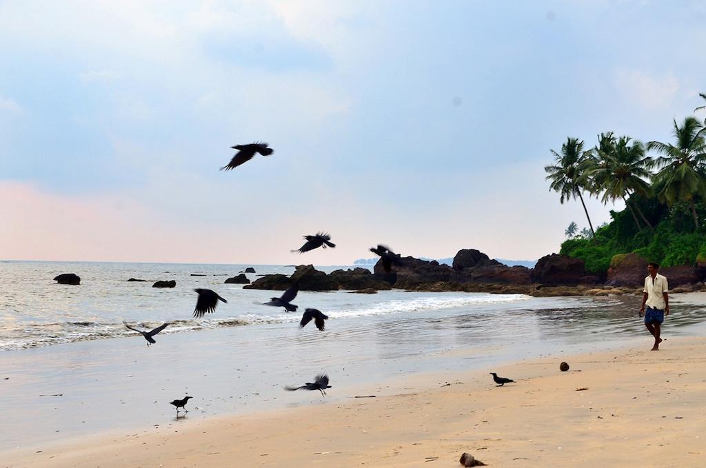 海洋绿色喀拉拉邦民宿 坎努尔 外观 照片